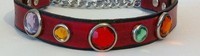 Dog Collars from Rose Lesniak Dog Trainer in Miami