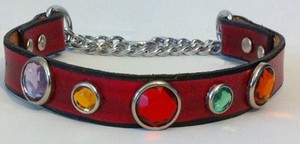 Dog Collar by Rose Lesniak Dog Trainer Miami